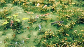 �s���ƕ��ʂ̒r�Ȃ񂾂��ǂ�